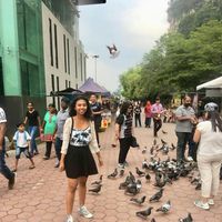 Ruth Marcella的照片