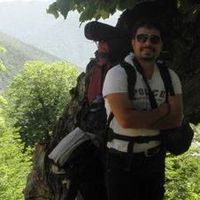 Meysam Kolbadinejad的照片