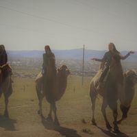 Sabah Anwar的照片