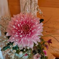 Angela Buchs's Photo