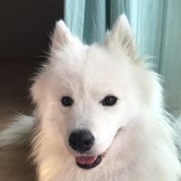 Bertrand Viricel's Photo