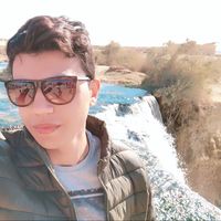 Mohamed Eltamimy的照片