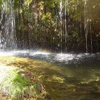 Rafael Ojeda's Photo