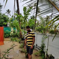 Jibi Rockey的照片