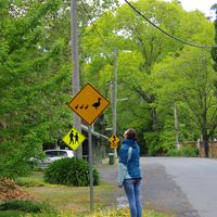 Fotos von Luca Ahren