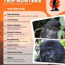 The Beach Camp Night 's picture