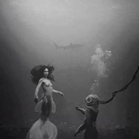 Cristopher Retamales的照片