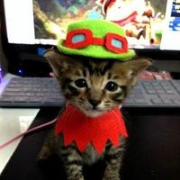 Bernadette Lacanlale's Photo