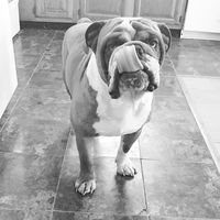 Becca Sklander的照片