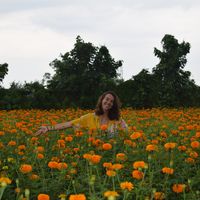 Nienke Buijs的照片