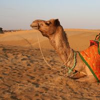 Manish Khatri's Photo