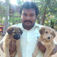 Фотографии пользователя Kali Shetty