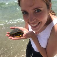 Montse  Balle的照片