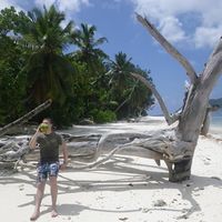 Moritz Schaeuffelen的照片