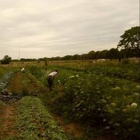 Fotos de Luciana Aguiar