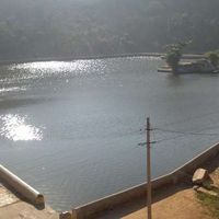 elefanjoy Ankit pareek的照片