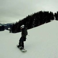 Aurore, Tomislav, Elsa The Best Roommate的照片