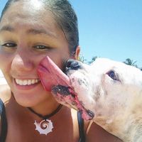 Photos de Michelle CastaSan