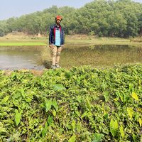 AlmayAshak Jilani的照片