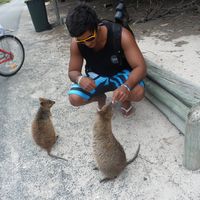 Ashish Debray的照片