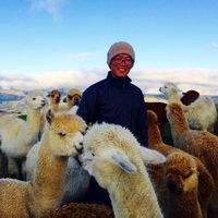 Huang Haitao's Photo