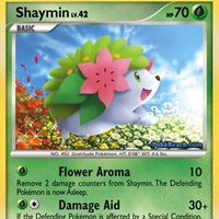 Assaf Dekel的照片