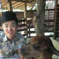 CHI JUI WANG's Photo