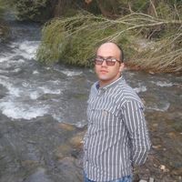 Фотографии пользователя amin torkashvand
