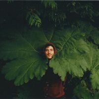 Maarten Mortier的照片