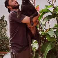 Fotos von Claudio Carrizo