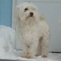 Logan Bishop's Photo