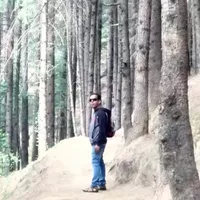 Photos de Caribbean Couch