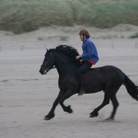 Koen Schaper's Photo