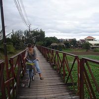 Alexia Le Dissez's Photo