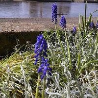 Gabriela Suarez's Photo