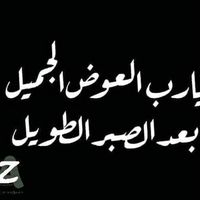 عزام أبو مصطفى's Photo