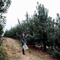 Ivette Calatayud's Photo