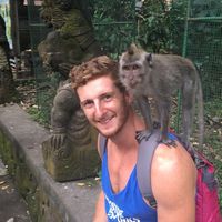 Alex Ferguson的照片