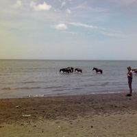 Emilie Maraillac's Photo