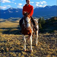 Photos de DMITRIY MEZENTSEV