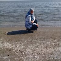 fatemeh mohamadi's Photo