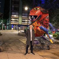 Le foto di Martin Sartoriu