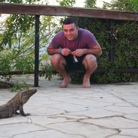 Alan Weiner的照片