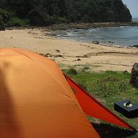 Clementine Carnus's Photo