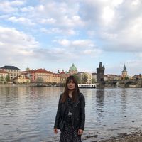 Choi Youngsl's Photo