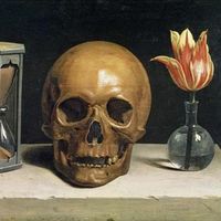 Max Casanova的照片