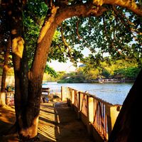 Tamara de Paula的照片