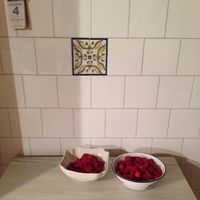 Barbara Gutierrez的照片