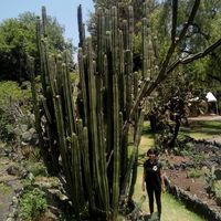 Photos de Yolanda Vega