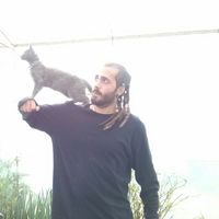 robert sanchez的照片